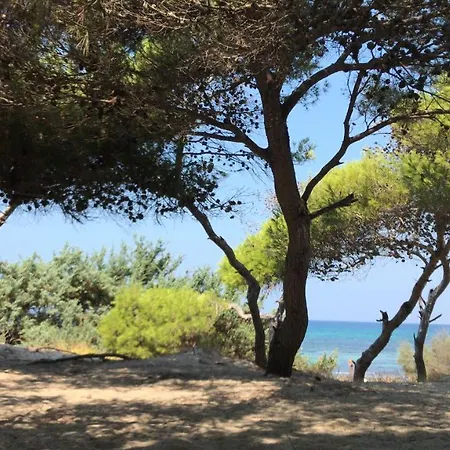 Pineta Mare Flat Сasa de vacaciones